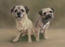 Original Pastel Painting Of Border Terriers, Ryley & Tillie.