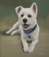 Original Pastel Painting of Toby The Westie