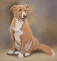 Original Pastel Painting Of Ginger.