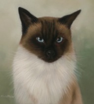 Original Pastel Painting of Merlin