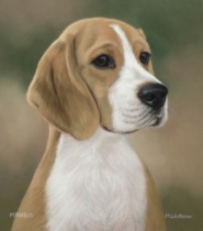Original Pastel Painting Of Mango.