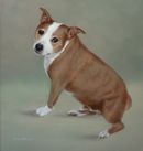 Original Pastel Painting of Buzz.