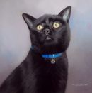 Original Pastel Painting of Sparkle