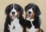 Original Pastel Painting Of Daisy & Winnie.