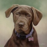 Original Pastel Painting Of Jinnie The Chocolate Labrador