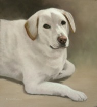 Original Pastel Painting Of Alfie.