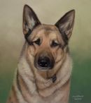 Original Pastel Painting Of Koko