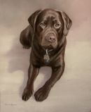 Original Pastel Painting Of Baloo The Chocolate Labrador.