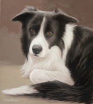 Original Pastel Painting Of Milo The Border Collie.