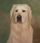 Original Pastel Painting of Bingo