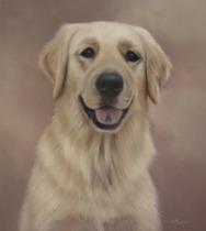 Original Pastel Painting of Bailey.