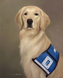 Original Pastel Painting Of Briar The Golden Retriever.