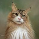 Original Pastel Painting of Cheyanne the Maine Coon.