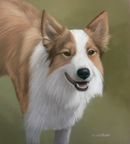 Original Pastel Painting of Bonnie.