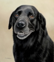 Original Pastel Painting Of Maisie.