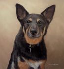 Original Pastel Painting Of Beau The German Shepherd