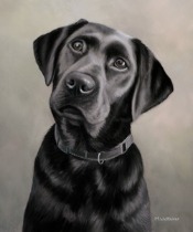 Original Pastel Painting of Brandy.