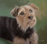 Original Pastel Painting of Cassie.