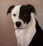 Original Pastel Painting of Lucy the american bulldog.