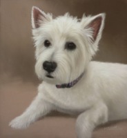 Original Pastel Painting of Sophie.