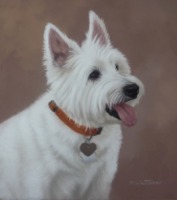 Original Pastel Painting of Beamer.