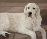 Original Pastel Painting Of McKenzie.