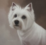 Original Pastel Painting of Misty.