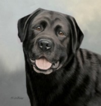 Original Pastel Painting Of Diesel The Black Labrador