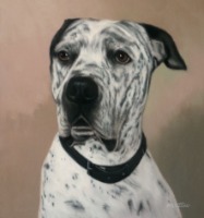 Original Pastel Painting of Harley