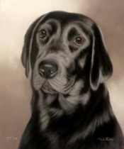 Original Pastel Painting Of Deja.