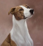 Original Pastel Painting of Phoebe the lurcher.