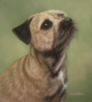 Original Pastel Painting of Millie The Border Terrier.