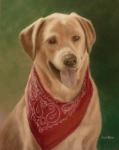Original Pastel Painting of Duke.