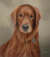 Original Pastel Painting of Jake.