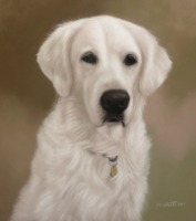 Original Pastel Painting of Sophie.