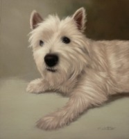 Original Pastel Painting of Rascal.