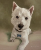 Original Pastel Painting of William The Westie.