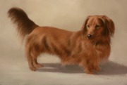 Original Pastel Painting of Oscar.