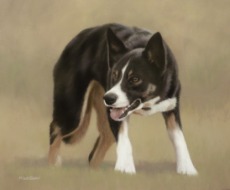 Original Pastel Painting of Jess The Border Collie.