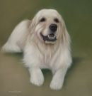 Original Pastel Painting Of Bogey