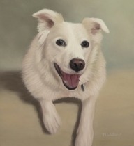 Original Pastel Painting of Bo the Border Collie.