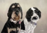 Original Pastel Painting of Bracken & Peppa.