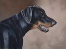 Original Pastel Painting Of Doberman.