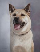 Original Pastel Painting Of Koshin, Japanese Akita