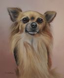 Original Pastel Painting Of Alfie, Chihuahua