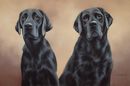 Original Pastel Painting Of Izzie & Frankie, Black Labradors