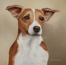 Original Pastel Painting Of Jack Russell Terrier