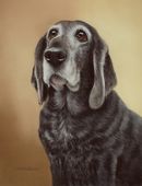 Original Pastel Painting Of Rosie