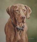 Original Pastel Painting Of Ruddles, Hungarian Vizla