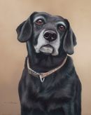 Original Pastel Painting Of Tess